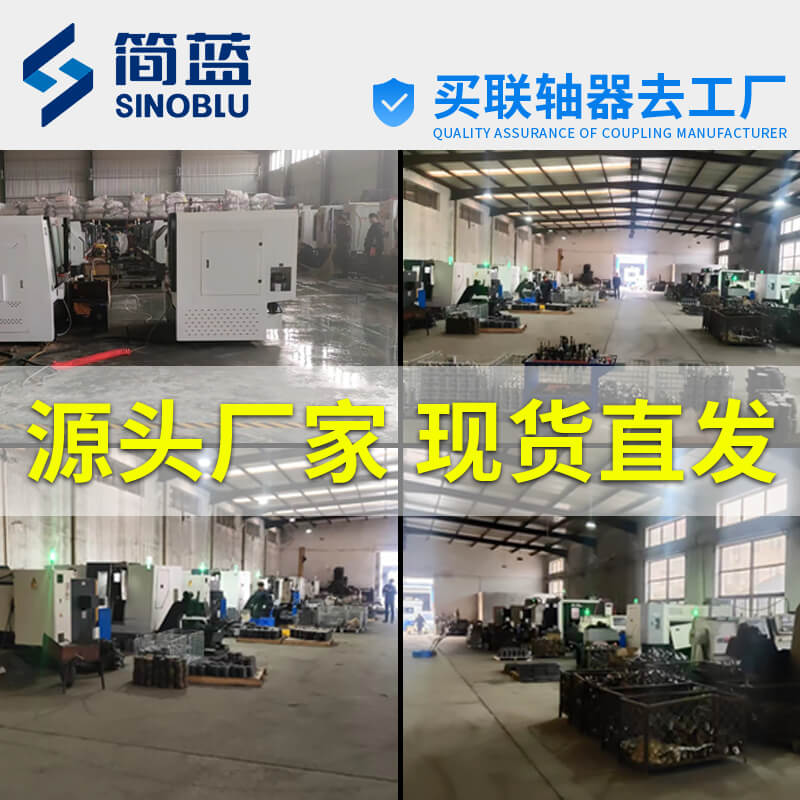 8孔膜片聯(lián)軸器